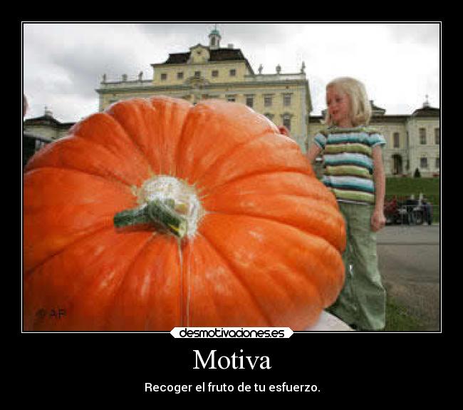 Motiva - Recoger el fruto de tu esfuerzo.