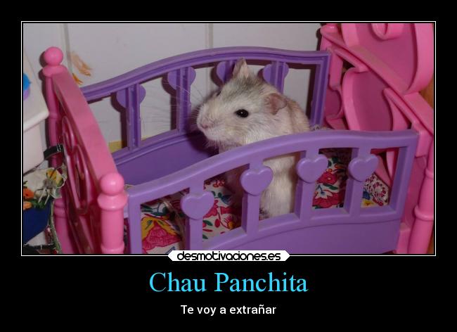 Chau Panchita - Te voy a extrañar