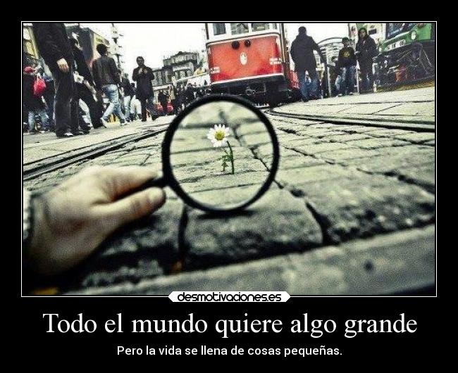 Todo el mundo quiere algo grande -