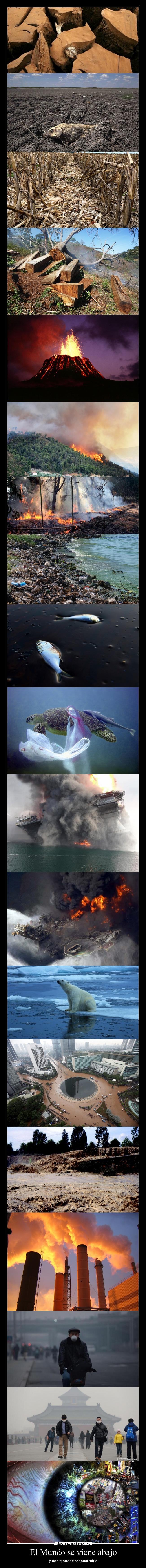 El Mundo se viene abajo - y nadie puede reconstruirlo