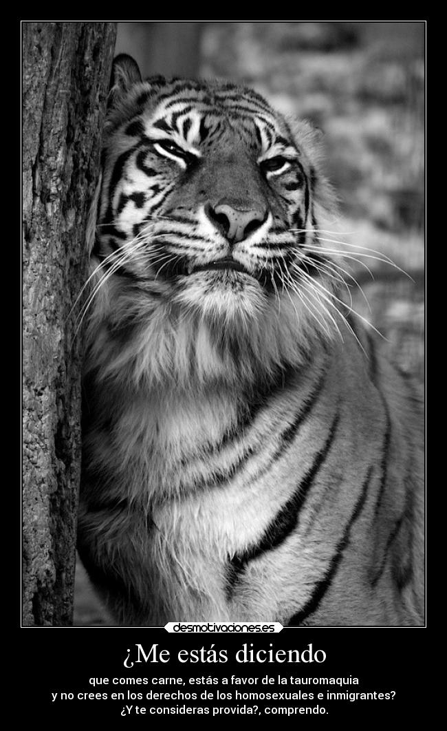 ¿Me estás diciendo - que comes carne, estás a favor de la tauromaquia
y no crees en los derechos de los homosexuales e inmigrantes?
¿Y te consideras provida?, comprendo.