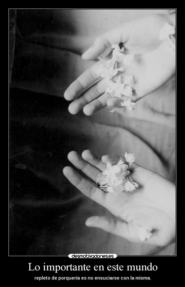Lo importante en este mundo - 