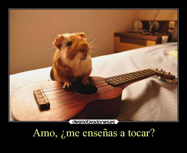 carteles musica animales humor unicorniosrosasyazules mortals godricvampire666 desmotivaciones