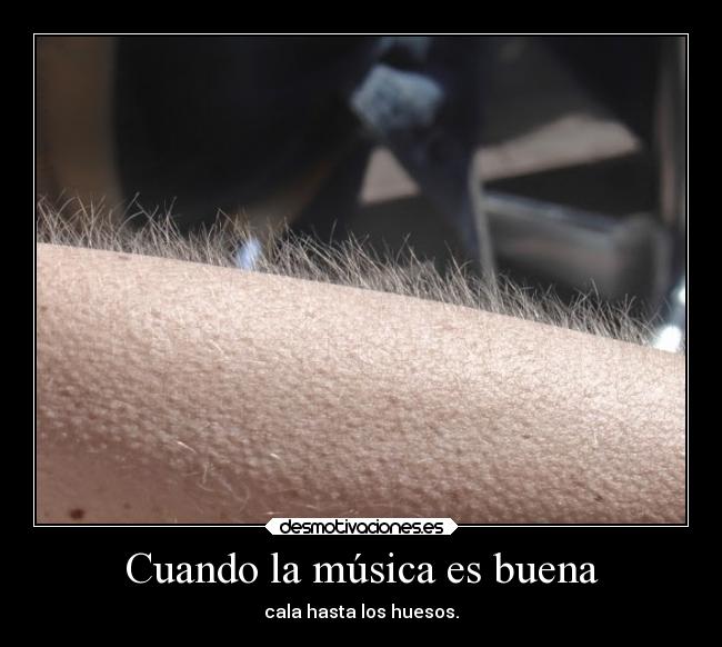 carteles musica musica desmotivaciones