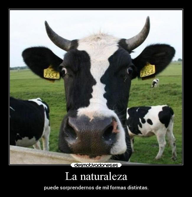 La naturaleza - 