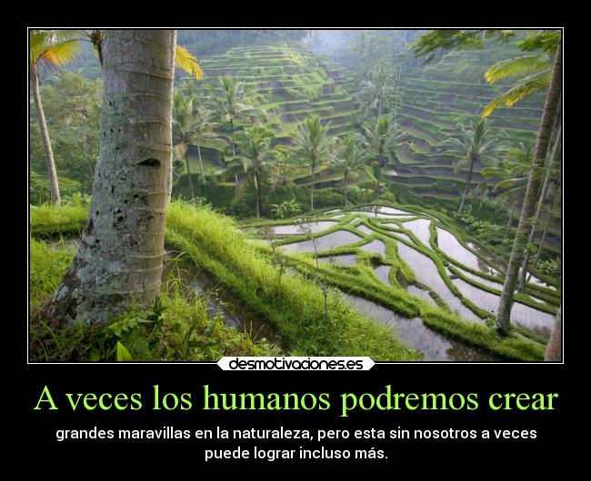 A veces los humanos podremos crear - grandes maravillas en la naturaleza, pero esta sin nosotros a veces
puede lograr incluso más.