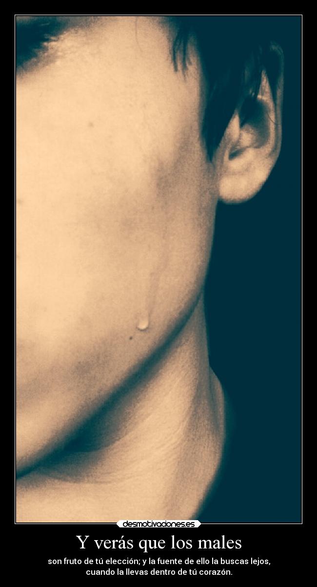 carteles obstaculos dolor desmoc3 bida bella con errores desmotivaciones