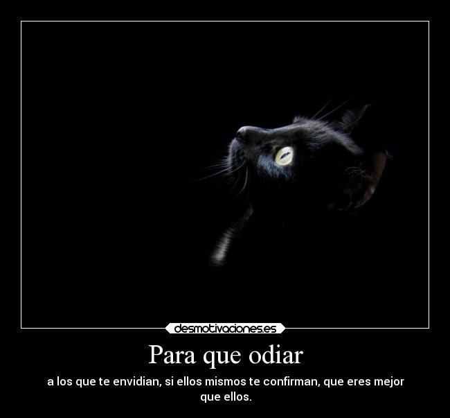 Para que odiar -