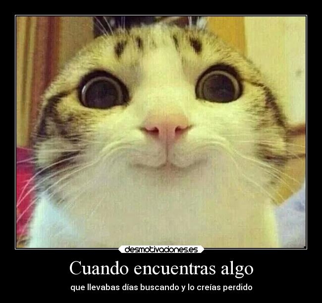 Cuando encuentras algo - que llevabas días buscando y lo creías perdido