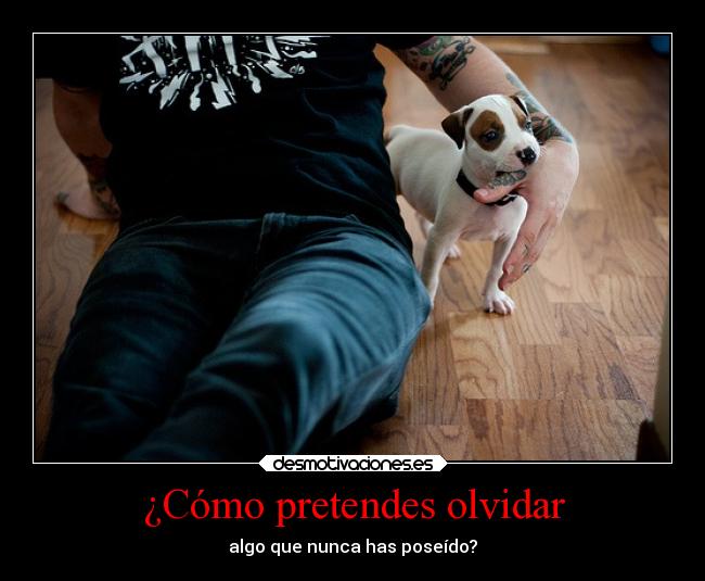 carteles olvidar olvidar frases pregunta kendizzzle red theshinyshadow clandesplazado soyundiotatm desmotivaciones