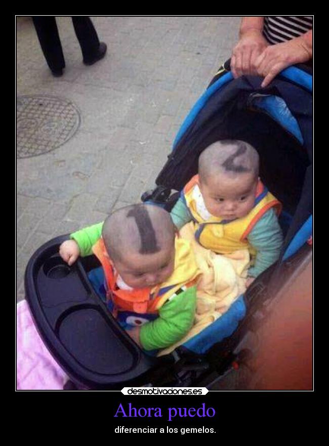 carteles padres chiste pude evitarlo hermanos gemelos consejo desmotivaciones