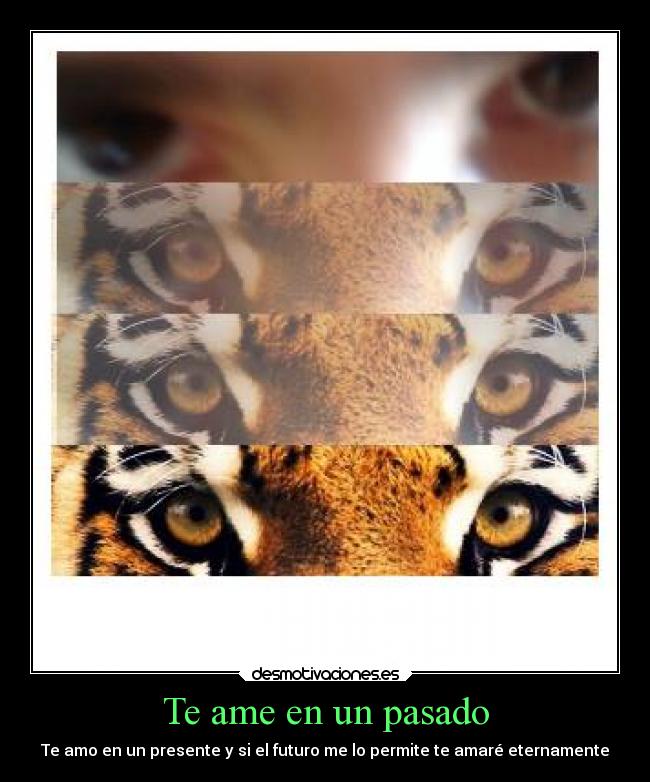 Te ame en un pasado - 