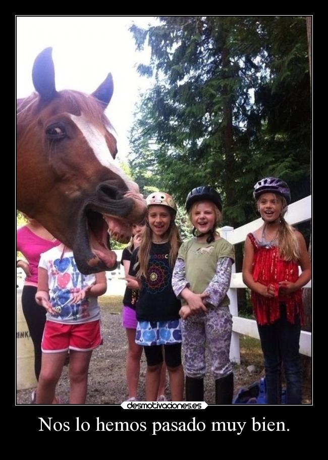 Nos lo hemos pasado muy bien. - 