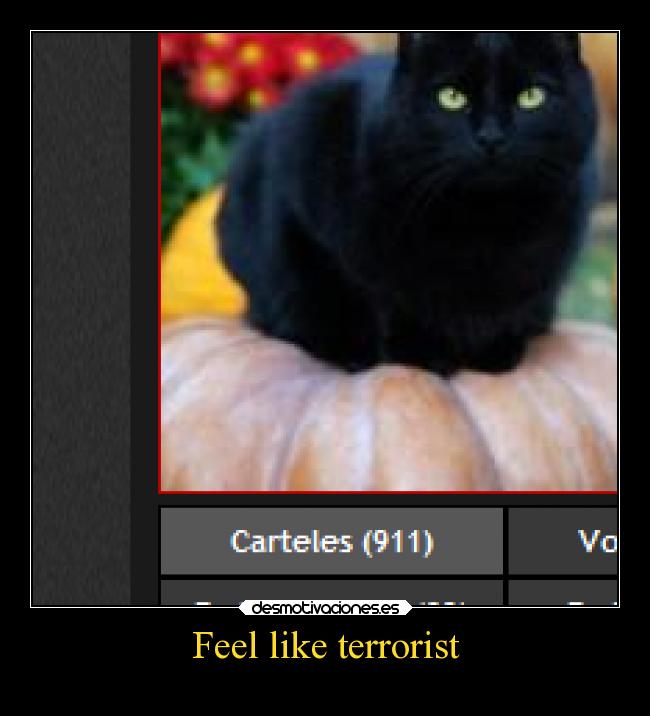 Feel like terrorist -