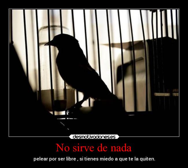 No sirve de nada - pelear por ser libre , si tienes miedo a que te la quiten.