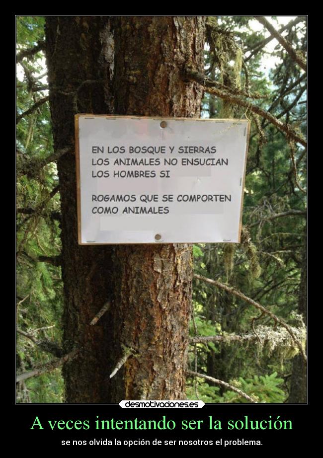 carteles problemas ponebosqueylefalta ese lol arboles concienciaecologista bosques soluciones desmotivaciones