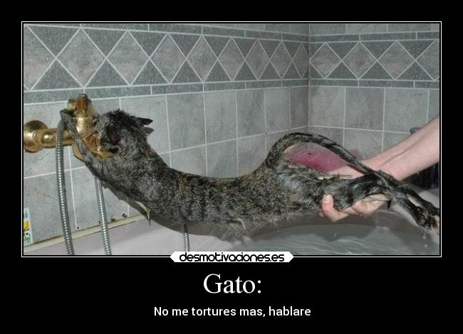 carteles risa animales que dan desmotivaciones