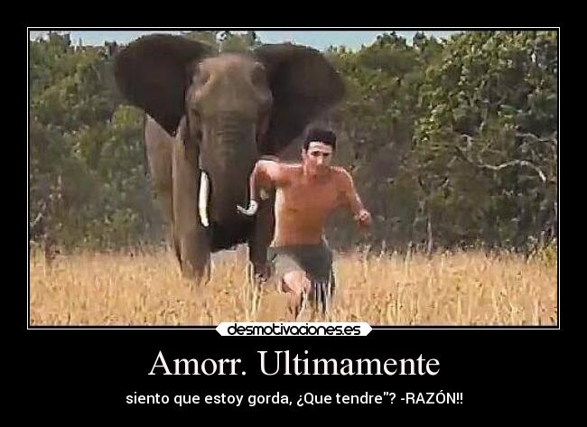 Amorr. Ultimamente - siento que estoy gorda, ¿Que tendre? -RAZÓN!!