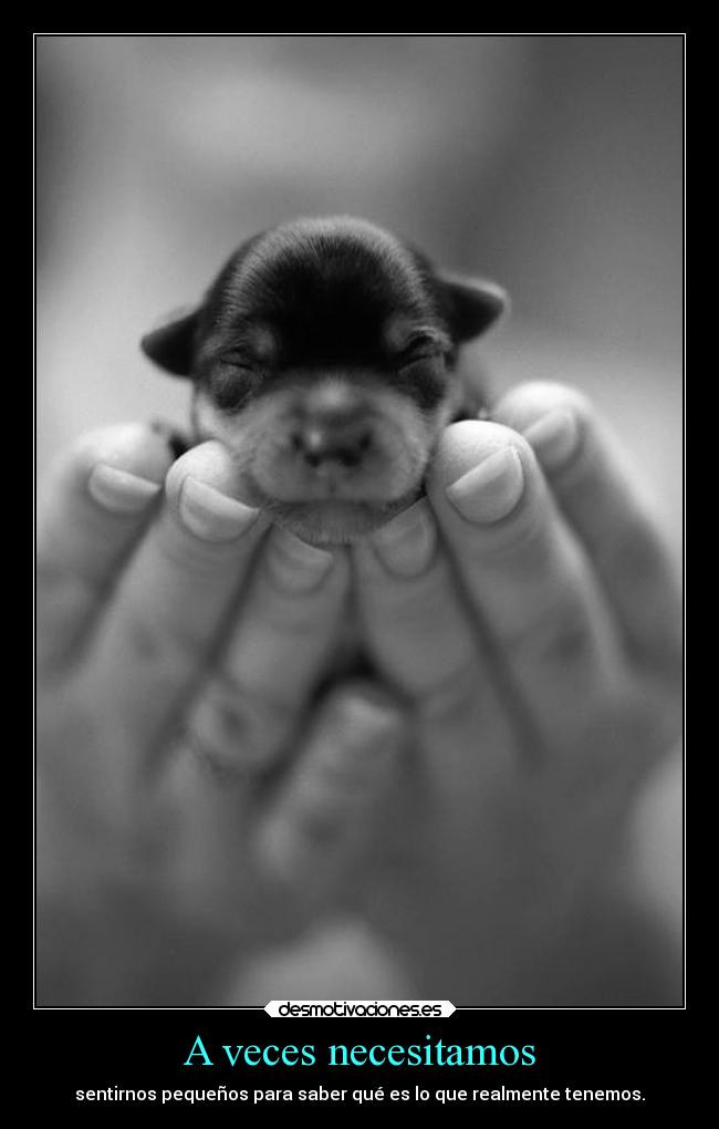 A veces necesitamos - sentirnos pequeños para saber qué es lo que realmente tenemos.