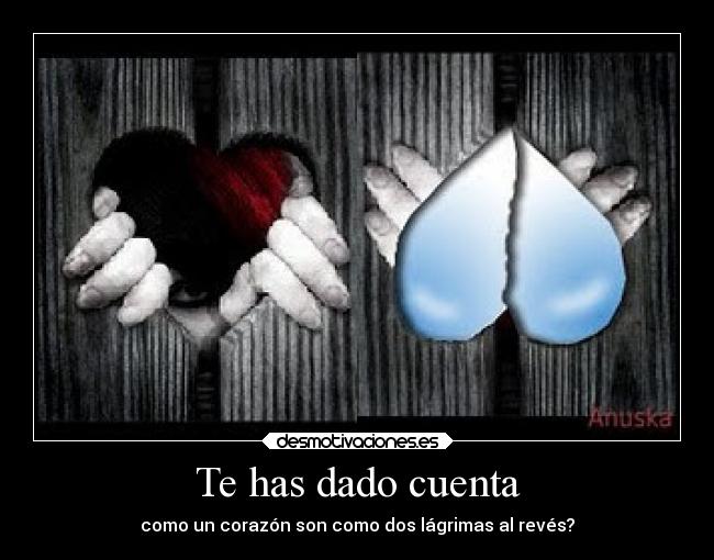 Te has dado cuenta -