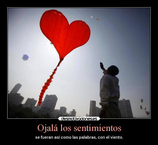 Ojalá los sentimientos -