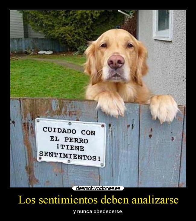 carteles sentimientos sentimientos desmotivaciones