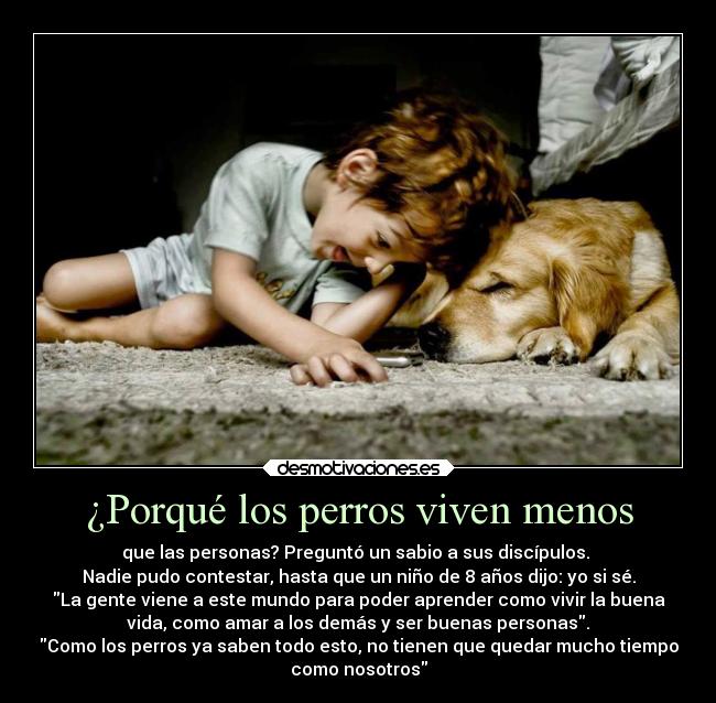 carteles sentimientos desmotivaciones