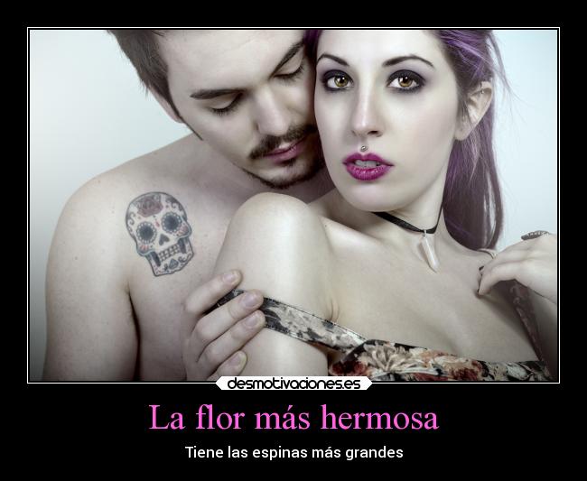 La flor más hermosa - Tiene las espinas más grandes