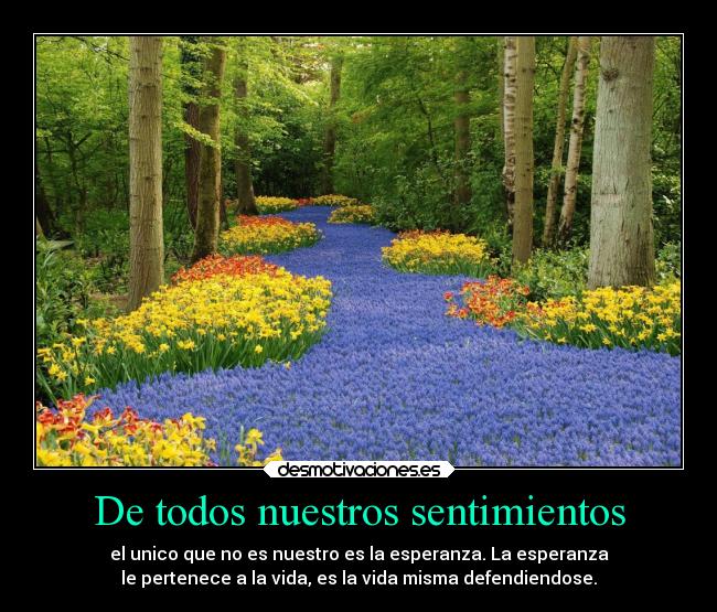 De todos nuestros sentimientos -