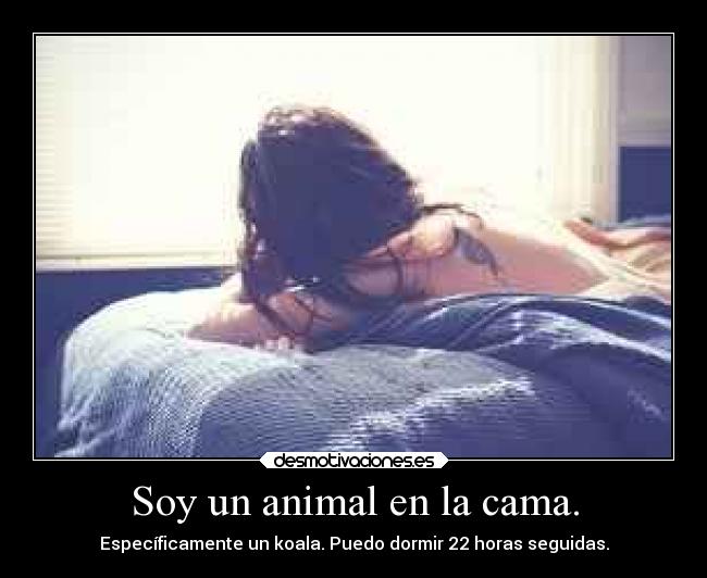 Soy un animal en la cama. - Específicamente un koala. Puedo dormir 22 horas seguidas.