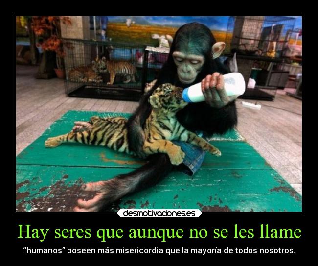Hay seres que aunque no se les llame -