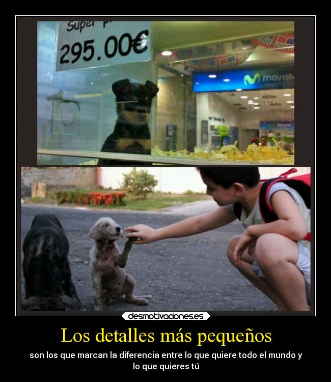 carteles sociedad animales abandonados desmotivaciones