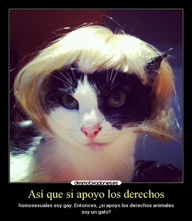 Así que si apoyo los derechos - homosexuales soy gay. Entonces, ¿si apoyo los derechos animales
soy un gato?