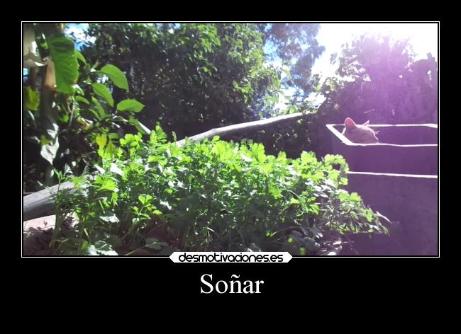 Soñar -
