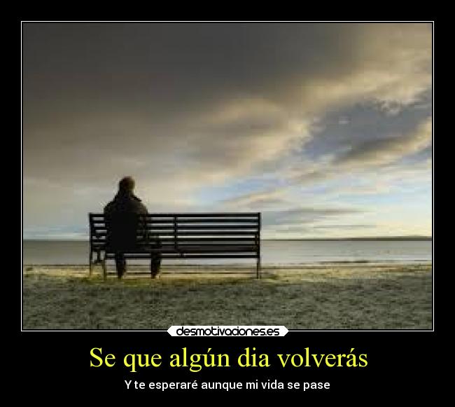 Se que algún dia volverás - 