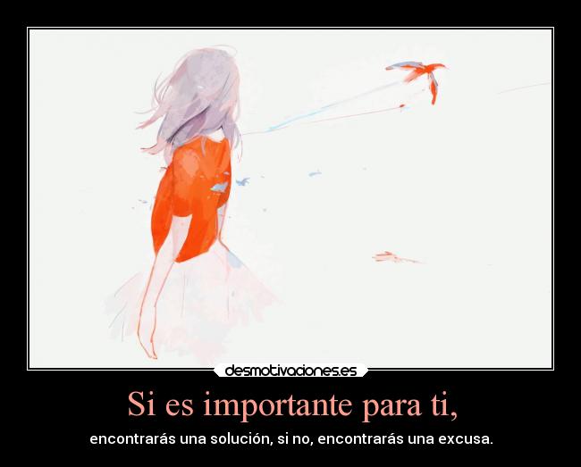 carteles suenos determincacion mas importante sin excusa hay solucion desmotivaciones