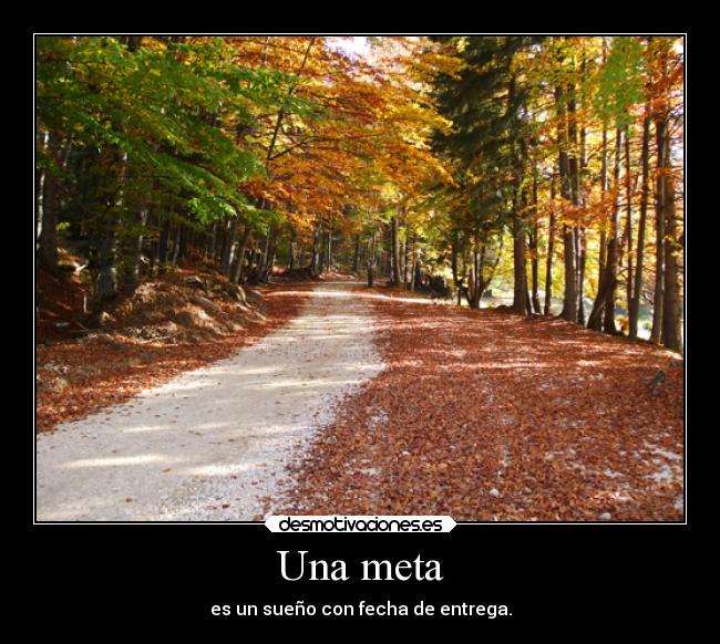 Una meta -