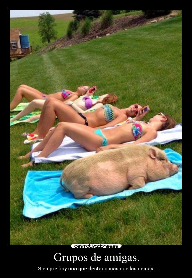 carteles tonto carteltonto lademascercaesunatiabuena desmotivaciones