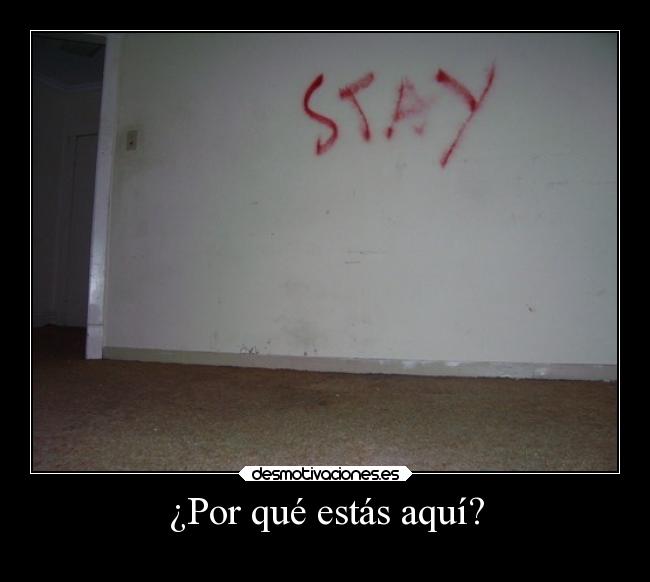 carteles tonto desmotivaciones