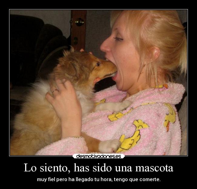 Lo siento, has sido una mascota - muy fiel pero ha llegado tu hora, tengo que comerte.