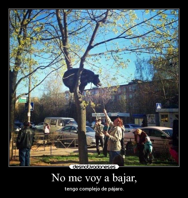 No me voy a bajar, -