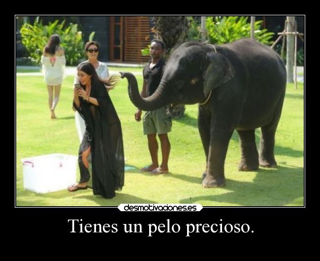 Tienes un pelo precioso. -