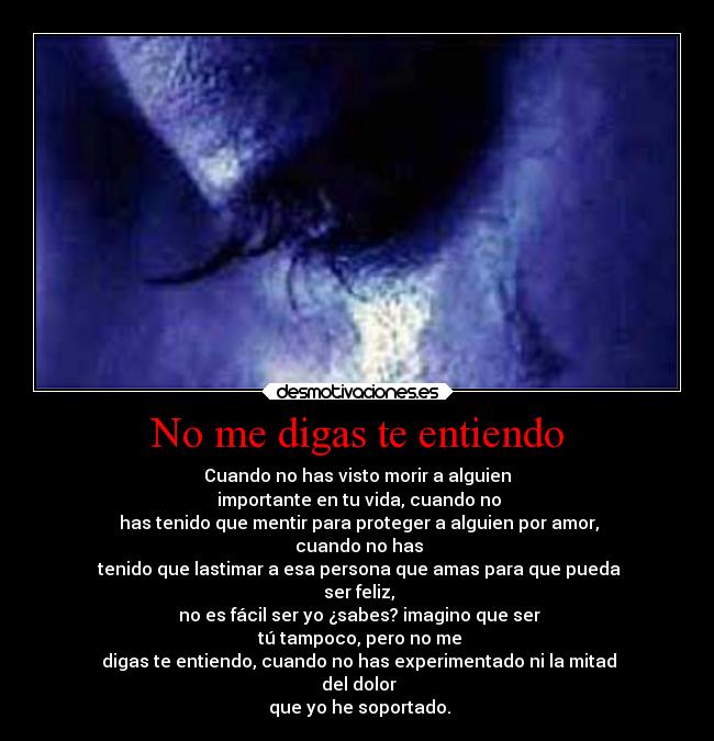 No me digas te entiendo - 