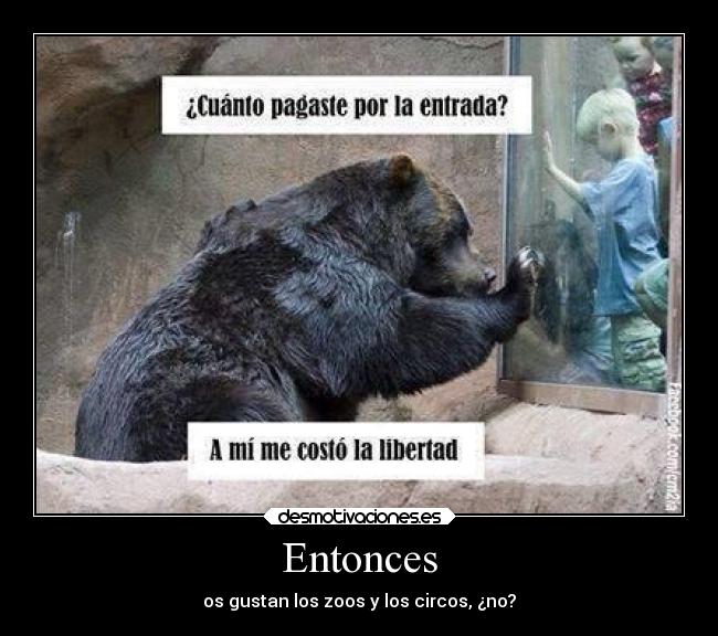 Entonces - os gustan los zoos y los circos, ¿no?