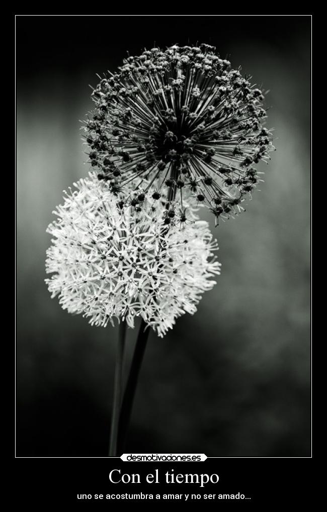 Con el tiempo - uno se acostumbra a amar y no ser amado...
