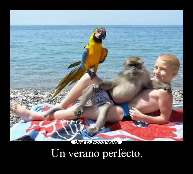 carteles verano humor breathebreathe desmotivaciones