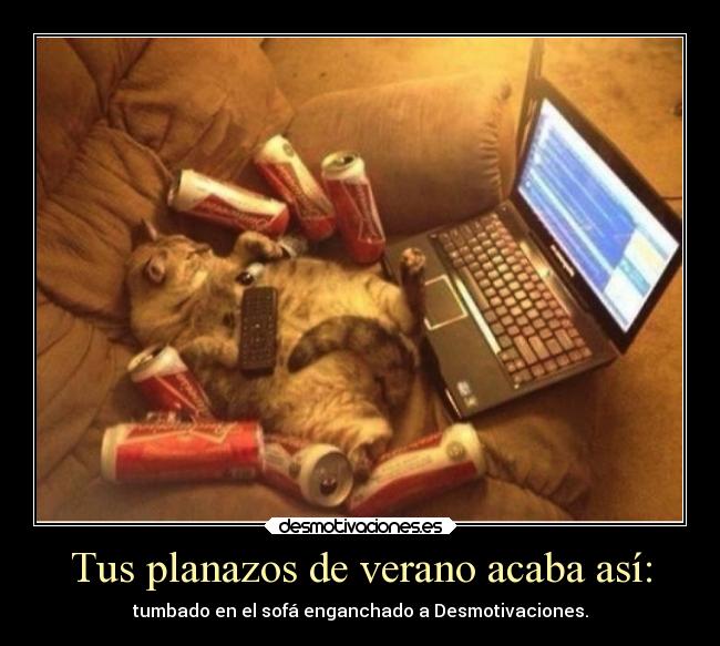 carteles verano humor vida desmotivaciones verano calor ordenador planes sofa realidad enganchado gato risas desmotivaciones