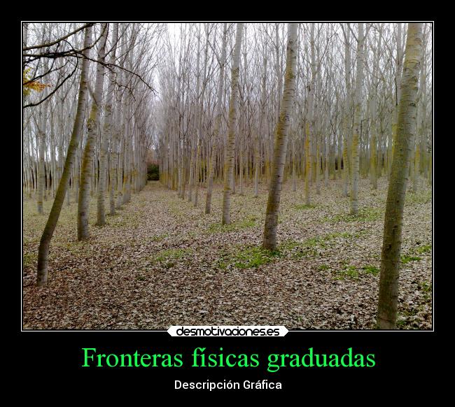 Fronteras físicas graduadas -