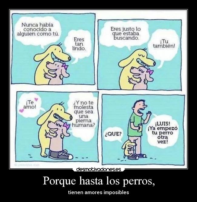 carteles verano vida desmotivaciones