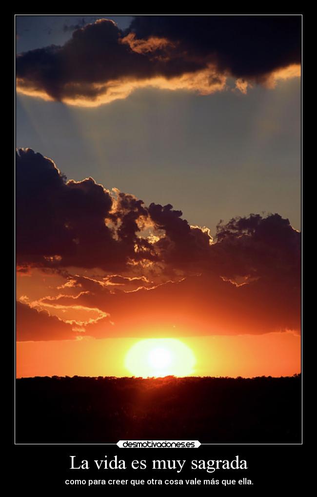 La vida es muy sagrada - 